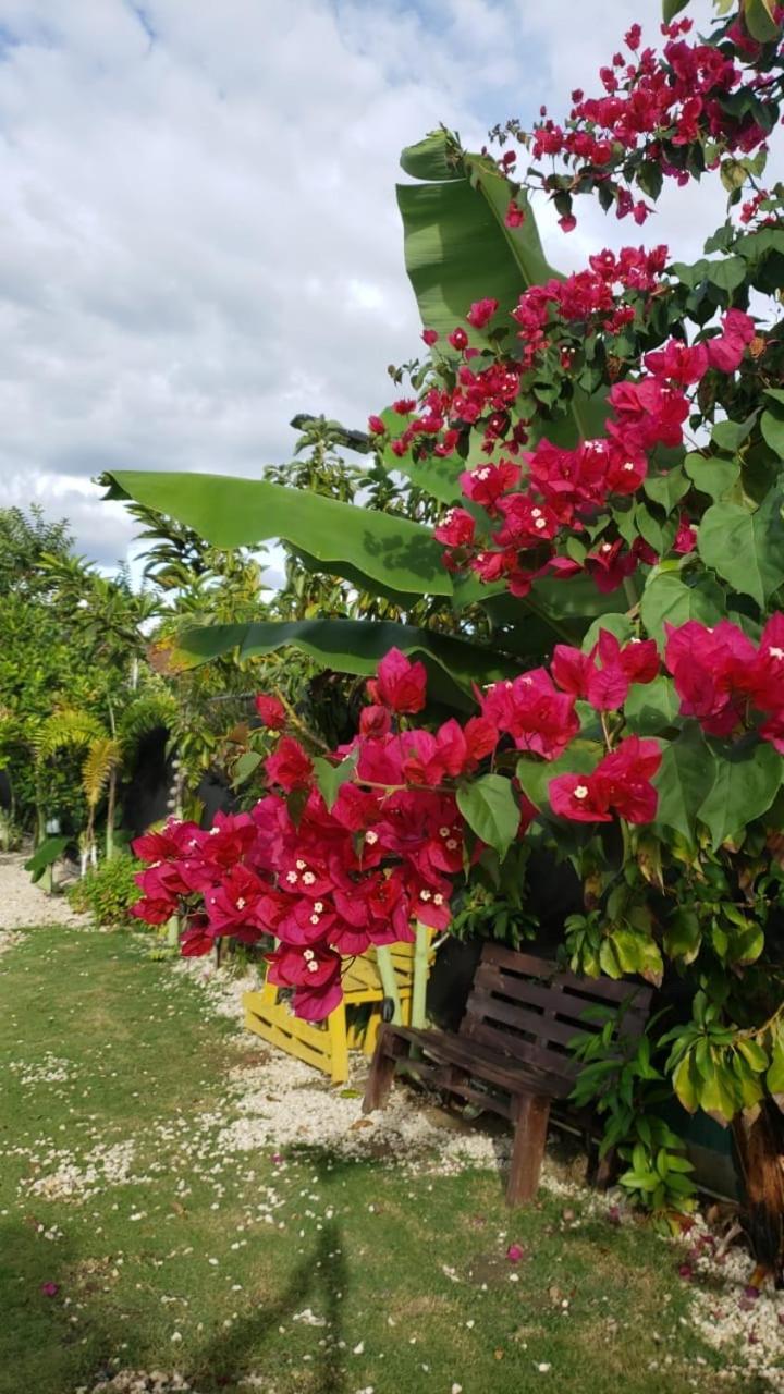 Casa De Campo Nerys San Juan de la Maguana Dış mekan fotoğraf